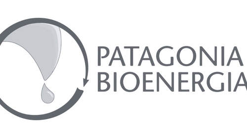 Patagonia Bioenerg&iacute;a