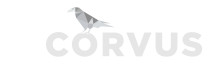 Logo de Corvus Ingeniería SRL